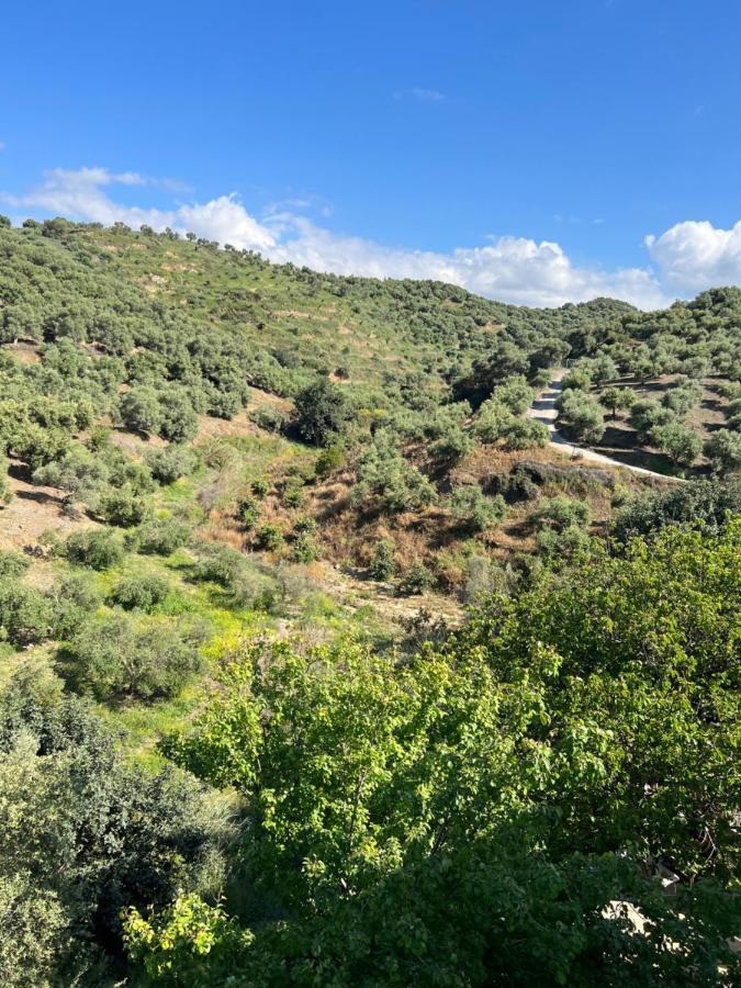 Eugene Apartment Chania  Екстер'єр фото