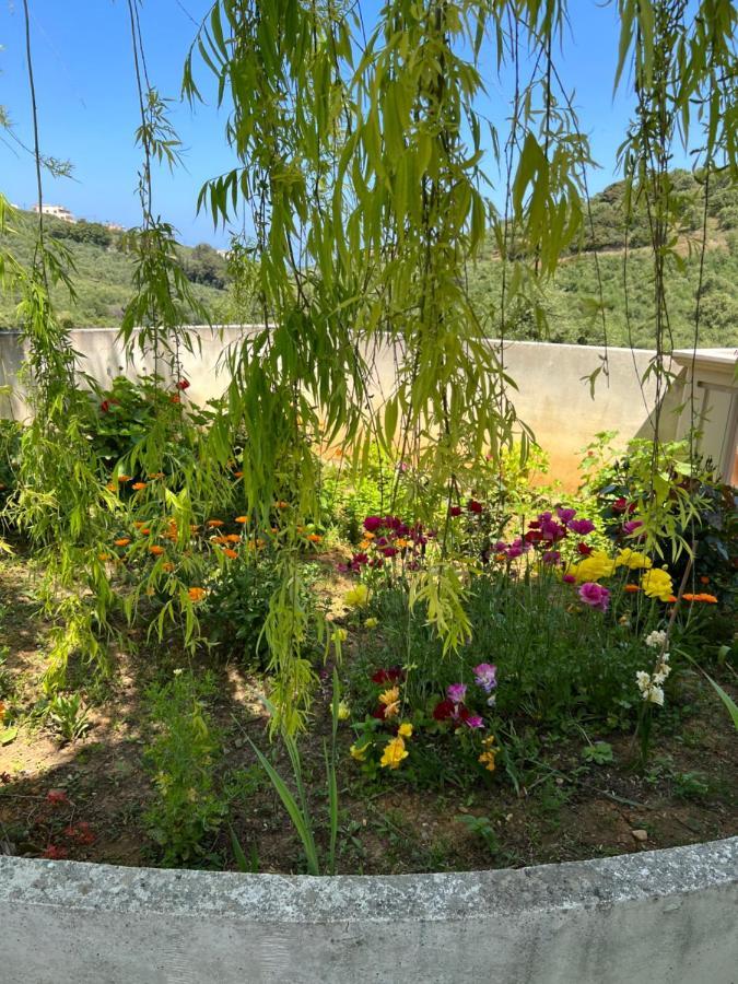 Eugene Apartment Chania  Екстер'єр фото